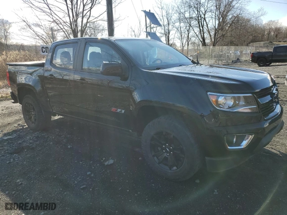 2020 Chevrolet Colorado 4WD Z71 with VIN 1GCGTDEN9L1123067, listed as a Copart auction lot 48699045 with 43,329 mi miles and Salvage Title. Bid and sale history available at carsss.com. Image 4.