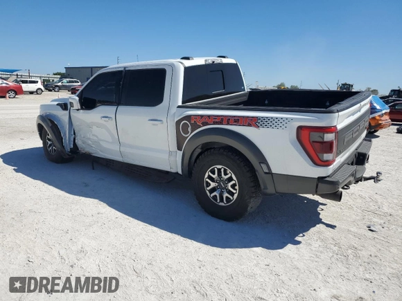 2023 Ford F-150 Raptor with VIN 1FTFW1RG1PFB24123, listed as a Copart auction lot 49594495 with 24,175 mi miles and Salvage Title. Bid and sale history available at DreamBid. Image 2.