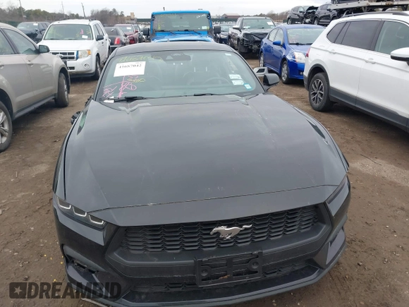 2024 Ford Mustang EcoBoost with VIN 1FA6P8TH0R5134826, listed as a IAAI auction lot 41687042 with 22,647 mi miles. Bid and sale history available at carsss.com. Image 12.