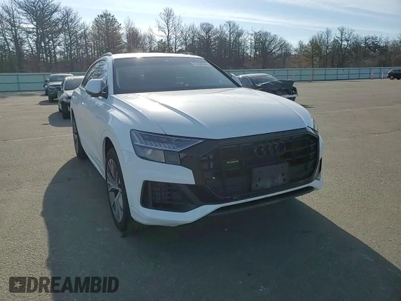 2023 Audi Q8 Premium with VIN WA1AVBF12PD044905, listed as a Copart auction lot 53206695 with 30,014 mi miles and Salvage title. Bid and sale history available at DreamBid. Image 14.