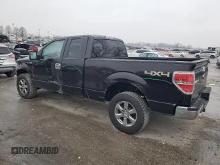 2013 Ford F-150 XL with VIN 1FTEX1EM3DFA07577, listed as a Copart auction lot 44247345 with 324,437 mi miles and Salvage title. Bid and sale history available at DreamBid. Image 2.