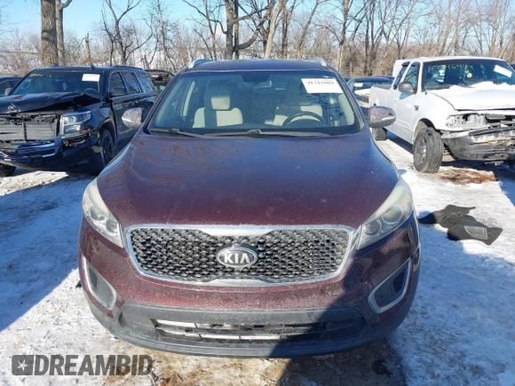 2017 Kia Sorento LX with VIN 5XYPG4A32HG271299, listed as a IAAI auction lot 41342809 with 124,665 mi miles. Bid and sale history available at carsss.com. Image 12.