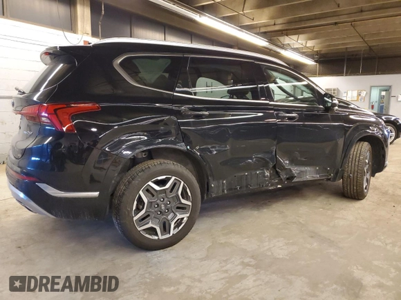 2021 Hyundai Santa Fe Calligraphy with VIN 5NMS5DAL5MH323833, listed as a Copart auction lot 41337795 with 54,484 mi miles and Salvage title. Bid and sale history available at DreamBid. Image 3.