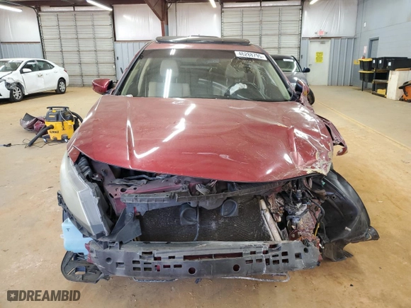 2010 Honda Accord Crosstour EX-L with VIN 5J6TF1H51AL014601, listed as a Copart auction lot 46288795 with 0 mi miles and Salvage Title. Bid and sale history available at carsss.com. Image 5.
