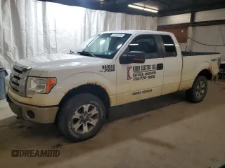 2011 Ford F-150 XL with VIN 1FTFX1EF0BFA11928, listed as a Copart auction lot 50309385 with 166,322 mi miles and Clean Title. Bid and sale history available at carsss.com. Image 1.