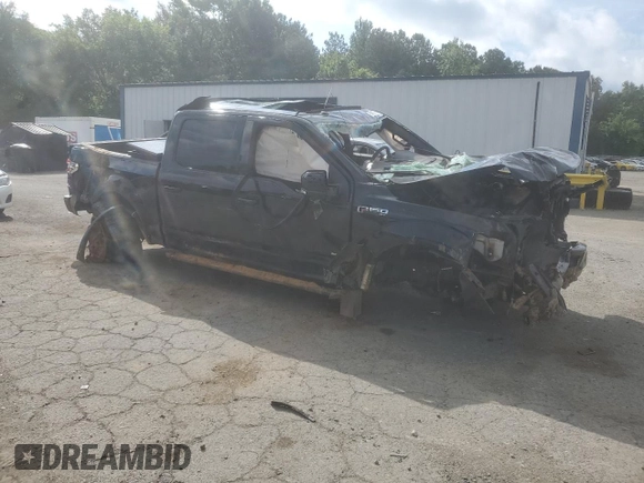 2016 Ford F-150 XLT with VIN 1FTEW1EP8GFD53528, listed as a Copart auction lot 59162755 with Not provided miles and Salvage title. Bid and sale history available at DreamBid. Image 4.