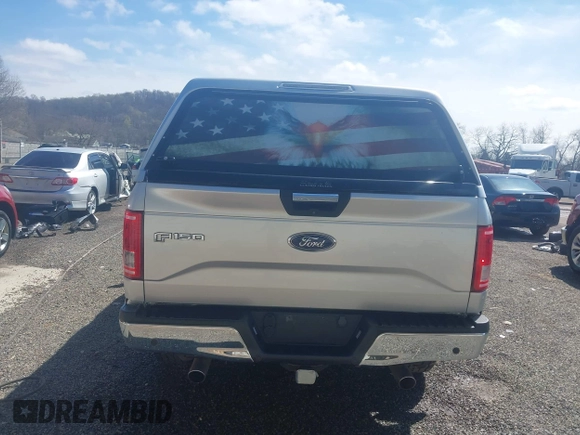 2017 Ford F-150 XL z VIN 1FTFX1EF1HFC58108, wystawiony jako IAAI lot #41961860 z przebiegiem 156 002 mil mil oraz . Historia ofert i sprzedaży dostępna na DreamBid. Obrazek 16.