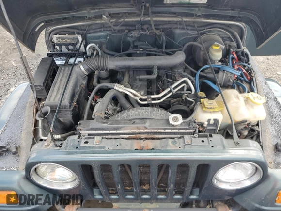 2003 Jeep Wrangler Sahara with VIN 1J4FA59S73P308250, listed as a Copart auction lot 64305965 with 186,288 mi miles and Clean title. Bid and sale history available at DreamBid. Image 12.