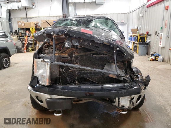 2009 Ford F-150 XL with VIN 1FTPW14VX9FA57292, listed as a Copart auction lot 57179865 with 173,771 mi miles and Clean title. Bid and sale history available at DreamBid. Image 5.