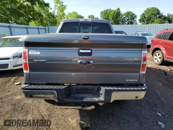 2014 Ford F-150 XL with VIN 1FTFX1EFXEFB09076, listed as a Copart auction lot 62085865 with 113,078 mi miles and Clean title. Bid and sale history available at DreamBid. Image 6.