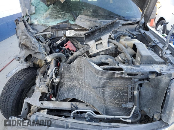 2013 Ford F-150 XL with VIN 1FTMF1EF1DKD97179, listed as a Copart auction lot 74531024 with Not Provided miles and Salvage Title. Bid and sale history available at DreamBid. Image 11.