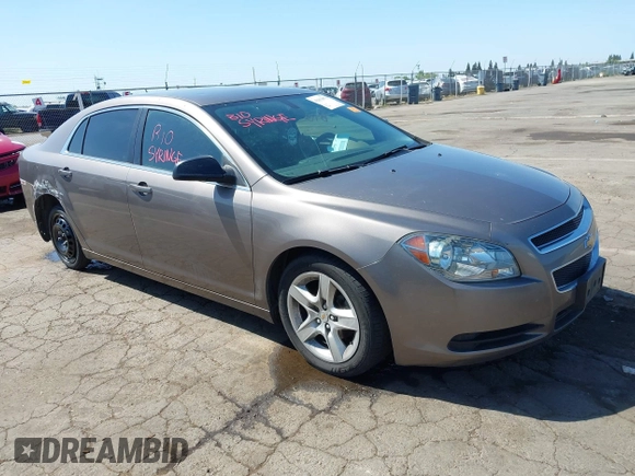 2011 Chevrolet Malibu 1LS with VIN 1G1ZB5E1XBF215846, listed as a IAAI auction lot 42153073 with Not Provided miles and . Bid and sale history available at DreamBid. Image 1.