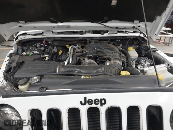 2017 Jeep Wrangler Unlimited Sahara with VIN 1C4BJWEG2HL700840, listed as a IAAI auction lot 42631036 with 60,610 mi miles and . Bid and sale history available at DreamBid. Image 10.