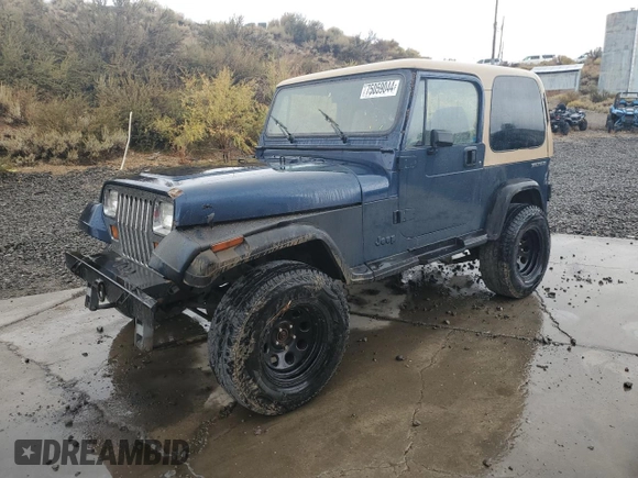 1991 Jeep Wrangler with VIN 2J4FY29S3MJ108717, listed as a Copart auction lot 75059044 with 202,413 mi miles and Salvage Title. Bid and sale history available at carsss.com. Image 1.