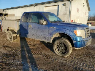 2011 Ford F-150 XL with VIN 1FTEX1EM2BFD04014, listed as a Copart auction lot 42110215 with 154,696 mi miles and Clean Title. Bid and sale history available at carsss.com. Image 4.