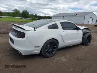 2014 Ford Mustang GT with VIN 1ZVBP8CFXE5295781, listed as a Copart auction lot 58222195 with 118,963 mi miles and Salvage title. Bid and sale history available at DreamBid. Image 3.