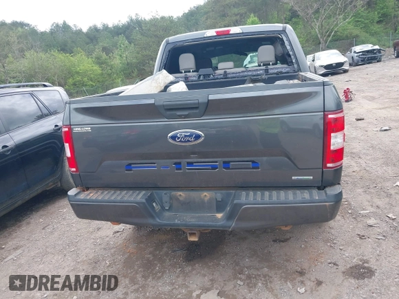 2018 Ford F-150 XL with VIN 1FTEW1CP2JFB50192, listed as a IAAI auction lot 41946675 with 154,934 mi miles. Bid and sale history available at carsss.com. Image 16.