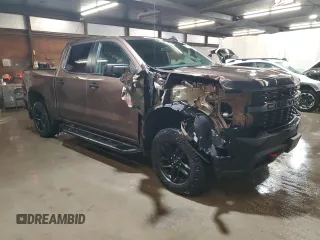 2019 Chevrolet Silverado 1500 Custom Trail Boss with VIN 3GCPYCEF2KG220731, listed as a Copart auction lot 47949865 with 74,962 mi miles and Salvage Title. Bid and sale history available at carsss.com. Image 4.