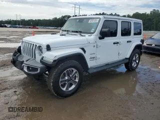 2019 Jeep Wrangler Unlimited Sahara with VIN 1C4HJXEG9KW547685, listed as a Copart auction lot 60901085 with 81,169 mi miles and Salvage title. Bid and sale history available at DreamBid. Image 1.