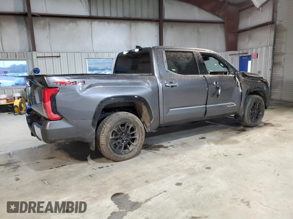 2022 Toyota Tundra 1794 Edition with VIN 5TFMA5DB6NX002857, listed as a Copart auction lot 57826375 with 32,825 mi miles and Non repairable. Bid and sale history available at DreamBid. Image 3.