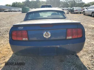 2008 Ford Mustang Deluxe with VIN 1ZVHT84N685204389, listed as a Copart auction lot 53347695 with Not Provided miles and Clean Title. Bid and sale history available at carsss.com. Image 6.