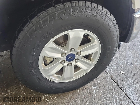 2017 Ford F-150 XL with VIN 1FTEX1C80HKC55899, listed as a IAAI auction lot 42714227 with 224,584 mi miles and . Bid and sale history available at DreamBid. Image 10.