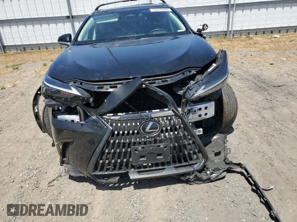 2024 Lexus NX 350 Premium with VIN 2T2GGCEZ2RC037973, listed as a Copart auction lot 57076595 with 33,000 mi miles and Salvage title. Bid and sale history available at DreamBid. Image 5.