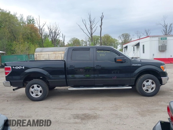 2013 Ford F-150 XL with VIN 1FTFW1EF0DFC53186, listed as a IAAI auction lot 42086254 with 172,075 mi miles. Bid and sale history available at carsss.com. Image 13.