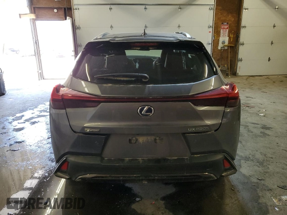 2019 Lexus UX with VIN JTHU9JBH5K2004597, listed as a Copart auction lot 49485153 with 30,512 mi miles. Bid and sale history available at carsss.com. Image 6.
