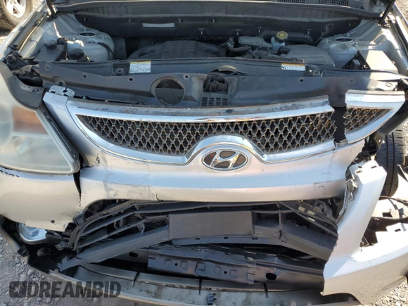 2009 Hyundai Veracruz GLS with VIN KM8NU13C19U081534, listed as a Copart auction lot 69118074 with 265,336 mi miles and Salvage title. Bid and sale history available at DreamBid. Image 12.