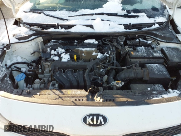 2020 Kia Rio S with VIN 3KPA24AD8LE302090, listed as a IAAI auction lot 41313049 with 80,021 mi miles. Bid and sale history available at carsss.com. Image 10.