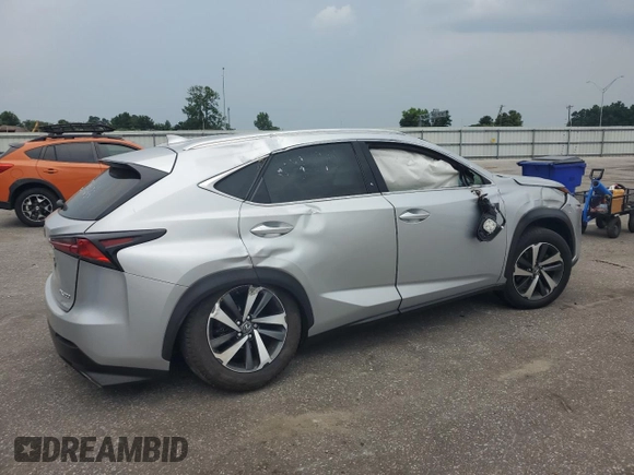 2018 Lexus NX 300 with VIN JTJYARBZ9J2100021, listed as a Copart auction lot 62465225 with Not provided miles and Salvage title. Bid and sale history available at DreamBid. Image 3.