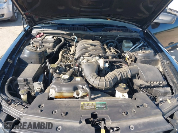 2005 Ford Mustang GT Deluxe с VIN 1ZVFT85H355174523, выставлен на аукционе IAAI как лот 42532902 с пробегом 61 406 миль миль и . История ставок и продаж доступна на DreamBid. Изображение 10.