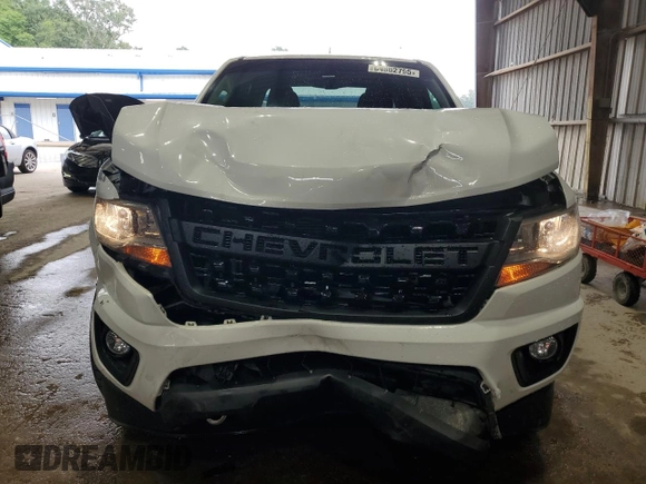 2019 Chevrolet Colorado 2WD LT with VIN 1GCGSCEN3K1169649, listed as a Copart auction lot 64862795 with 64,018 mi miles and Salvage title. Bid and sale history available at DreamBid. Image 5.