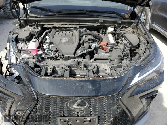 2022 Lexus NX with VIN JTJKGCEZ6N5000640, listed as a Copart auction lot 42488723 with 9,705 mi miles. Bid and sale history available at carsss.com. Image 12.