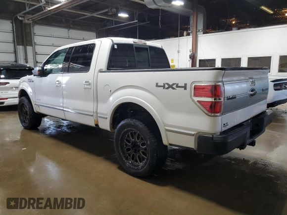 2013 Ford F-150 XL with VIN 1FTFW1ET3DFA30940, listed as a Copart auction lot 65817005 with 272,983 mi miles and Clean title. Bid and sale history available at DreamBid. Image 2.