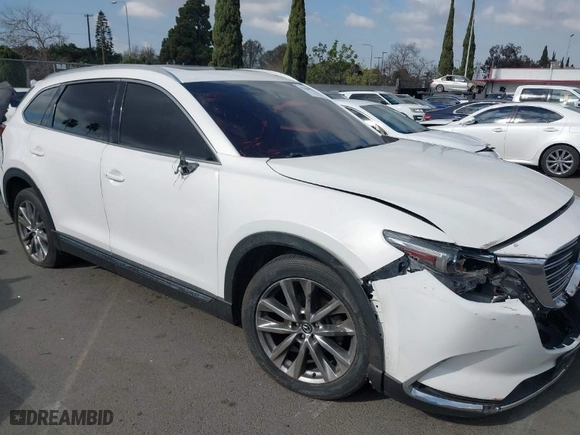 2017 Mazda CX-9 Signature with VIN JM3TCBEY9H0134619, listed as a IAAI auction lot 41450771 with 110,233 mi miles. Bid and sale history available at carsss.com. Image 13.