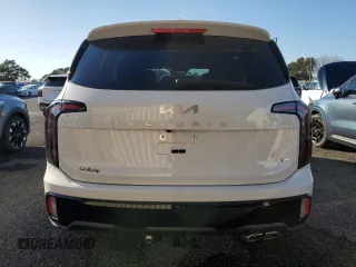 2024 Kia Telluride SX X-Line with VIN 5XYP5DGC6RG508522, listed as a Copart auction lot 81032314 with 14 mi miles and Salvage Title. Bid and sale history available at carsss.com. Image 6.