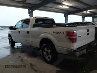 2009 Ford F-150 XL with VIN 1FTPW14V39KB73229, listed as a IAAI auction lot 42196313 with 271,782 mi miles and . Bid and sale history available at DreamBid. Image 14.