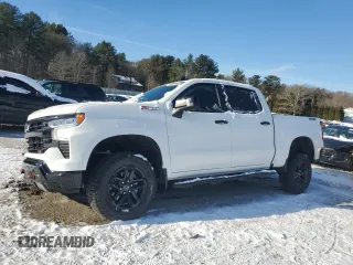 2024 Chevrolet Silverado 1500 LT Trail Boss with VIN 3GCUDFE82RG198774, listed as a Copart auction lot 85925724 with 20,296 mi miles and Salvage Title. Bid and sale history available at DreamBid. Image 1.
