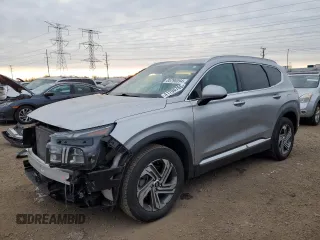 2021 Hyundai Santa Fe Essential with VIN 5NMS24AJ9MH336415, listed as a Copart auction lot 41700765 with 47,166 mi miles and Salvage Title. Bid and sale history available at carsss.com. Image 1.