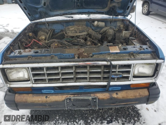 1985 Ford Bronco with VIN 1FMBU14SXFUA96361, listed as a Copart auction lot 43681375 with 98,999 mi miles and Clean title. Bid and sale history available at DreamBid. Image 11.