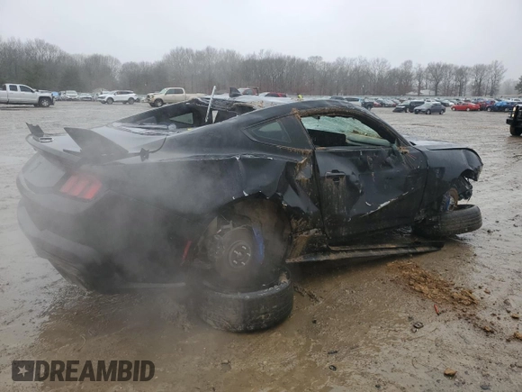 2024 Ford Mustang Dark Horse with VIN 1FA6P8R05R5501561, listed as a Copart auction lot 44746535 with 9,159 mi miles and Salvage Title. Bid and sale history available at carsss.com. Image 3.