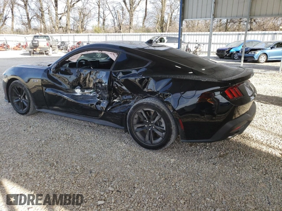 2024 Ford Mustang GT with VIN 1FA6P8CF4R5431094, listed as a Copart auction lot 49506365 with 8,141 mi miles and Salvage title. Bid and sale history available at DreamBid. Image 2.