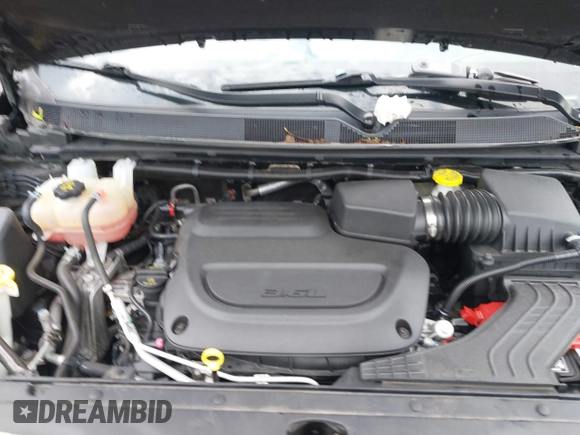 2022 Chrysler Pacifica Touring L with VIN 2C4RC1BG9NR194782, listed as a IAAI auction lot 41842410 with 76,231 mi miles and . Bid and sale history available at DreamBid. Image 10.