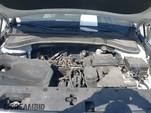 2019 Hyundai Santa Fe SE with VIN 5NMS23AD8KH051223, listed as a IAAI auction lot 42017754 with 146,704 mi miles and . Bid and sale history available at DreamBid. Image 10.