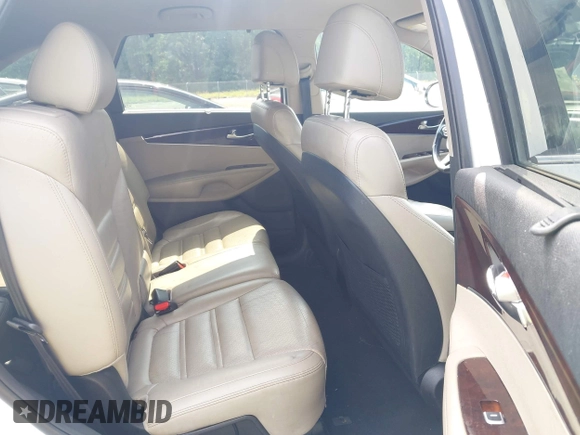 2017 Kia Sorento EX with VIN 5XYPH4A59HG300957, listed as a IAAI auction lot 42215684 with 220,309 mi miles and . Bid and sale history available at DreamBid. Image 8.