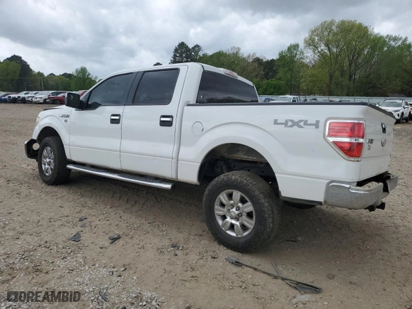 2012 Ford F-150 XL with VIN 1FTFW1EF1CKD34946, listed as a Copart auction lot 51530925 with 259,011 mi miles and Clean Title. Bid and sale history available at carsss.com. Image 2.