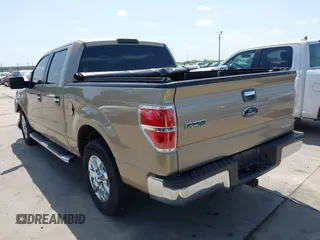 2013 Ford F-150 XL with VIN 1FTEW1CM1DKF70849, listed as a IAAI auction lot 42535866 with 213,674 mi miles and . Bid and sale history available at DreamBid. Image 3.