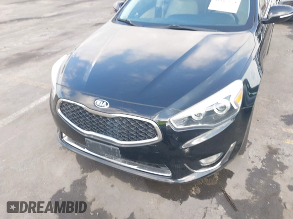 2014 Kia Cadenza Premium with VIN KNALN4D71E5130633, listed as a IAAI auction lot 41467874 with 105,278 mi miles. Bid and sale history available at carsss.com. Image 5.
